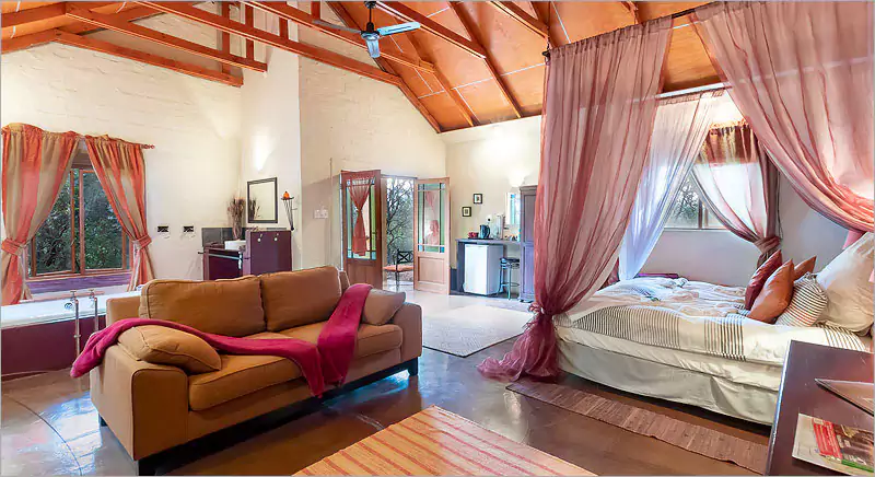 Kingfisher Country Suite at the Feathered Nest Kingfisher Country Suite at the Feathered Nest